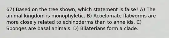 67) Based on the tree shown, which statement is false? A) The animal kingdom is monophyletic. B) Acoelomate flatworms are more closely related to echinoderms than to annelids. C) Sponges are basal animals. D) Bilaterians form a clade.