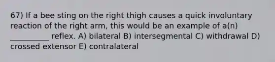 67) If a bee sting on the right thigh causes a quick involuntary reaction of the right arm, this would be an example of a(n) __________ reflex. A) bilateral B) intersegmental C) withdrawal D) crossed extensor E) contralateral