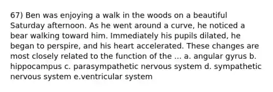 67) Ben was enjoying a walk in the woods on a beautiful Saturday afternoon. As he went around a curve, he noticed a bear walking toward him. Immediately his pupils dilated, he began to perspire, and his heart accelerated. These changes are most closely related to the function of the ... a. angular gyrus b. hippocampus c. parasympathetic nervous system d. sympathetic nervous system e.ventricular system