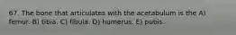 67. The bone that articulates with the acetabulum is the A) femur. B) tibia. C) fibula. D) humerus. E) pubis.