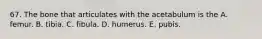 67. The bone that articulates with the acetabulum is the A. femur. B. tibia. C. fibula. D. humerus. E. pubis.