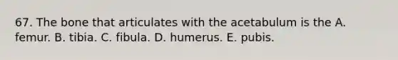 67. The bone that articulates with the acetabulum is the A. femur. B. tibia. C. fibula. D. humerus. E. pubis.