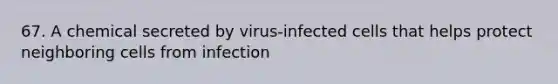 67. A chemical secreted by virus-infected cells that helps protect neighboring cells from infection