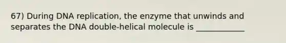 67) During <a href='https://www.questionai.com/knowledge/kofV2VQU2J-dna-replication' class='anchor-knowledge'>dna replication</a>, the enzyme that unwinds and separates the DNA double-helical molecule is ____________