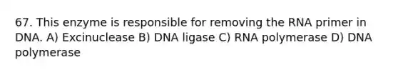 67. This enzyme is responsible for removing the RNA primer in DNA. A) Excinuclease B) DNA ligase C) RNA polymerase D) DNA polymerase