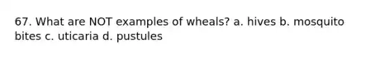 67. What are NOT examples of wheals? a. hives b. mosquito bites c. uticaria d. pustules