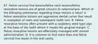 67. Feline cervical line lesions/feline neck lesions/feline resorptive lesions are of great concern to veterinarians. Which of the following statements regarding these lesions is false? A. Feline resorptive lesions are aggressive dental caries that result in resorption of roots and subsequent tooth loss. B. Feline resorptive lesions often present with a raspberry seed type sign at the base of the tooth where it meets the gingival margin. C. Feline resorptive lesions are effectively managed with steroid administration. D. It is common to find more than one feline cervical line lesion in the oral cavity.