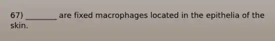 67) ________ are fixed macrophages located in the epithelia of the skin.