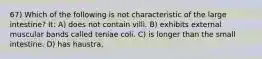 67) Which of the following is not characteristic of the large intestine? It: A) does not contain villi. B) exhibits external muscular bands called teniae coli. C) is longer than the small intestine. D) has haustra.