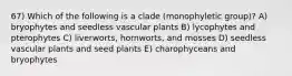 67) Which of the following is a clade (monophyletic group)? A) bryophytes and seedless vascular plants B) lycophytes and pterophytes C) liverworts, hornworts, and mosses D) seedless vascular plants and seed plants E) charophyceans and bryophytes