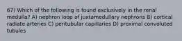 67) Which of the following is found exclusively in the renal medulla? A) nephron loop of juxtamedullary nephrons B) cortical radiate arteries C) peritubular capillaries D) proximal convoluted tubules