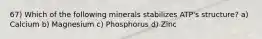 67) Which of the following minerals stabilizes ATP's structure? a) Calcium b) Magnesium c) Phosphorus d) Zinc