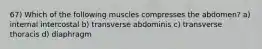 67) Which of the following muscles compresses the abdomen? a) internal intercostal b) transverse abdominis c) transverse thoracis d) diaphragm