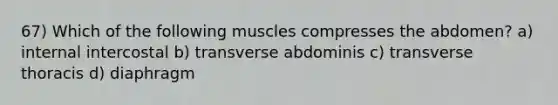 67) Which of the following muscles compresses the abdomen? a) internal intercostal b) transverse abdominis c) transverse thoracis d) diaphragm