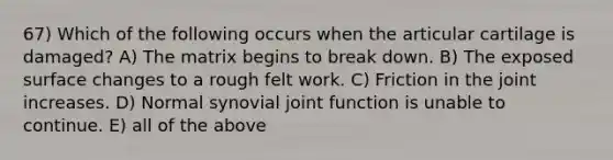 67) Which of the following occurs when the articular cartilage is damaged? A) The matrix begins to break down. B) The exposed surface changes to a rough felt work. C) Friction in the joint increases. D) Normal synovial joint function is unable to continue. E) all of the above