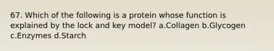 67. Which of the following is a protein whose function is explained by the lock and key model? a.Collagen b.Glycogen c.Enzymes d.Starch