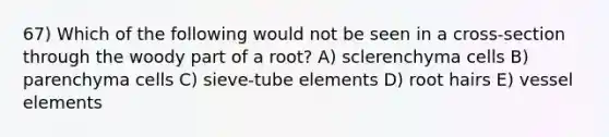 67) Which of the following would not be seen in a cross-section through the woody part of a root? A) sclerenchyma cells B) parenchyma cells C) sieve-tube elements D) root hairs E) vessel elements