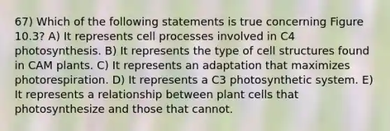 67) Which of the following statements is true concerning Figure 10.3? A) It represents cell processes involved in C4 photosynthesis. B) It represents the type of cell structures found in CAM plants. C) It represents an adaptation that maximizes photorespiration. D) It represents a C3 photosynthetic system. E) It represents a relationship between plant cells that photosynthesize and those that cannot.