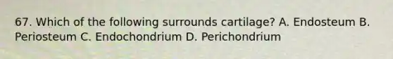 67. Which of the following surrounds cartilage? A. Endosteum B. Periosteum C. Endochondrium D. Perichondrium