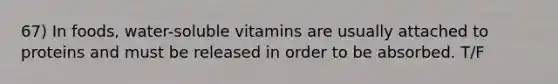 67) In foods, water-soluble vitamins are usually attached to proteins and must be released in order to be absorbed. T/F