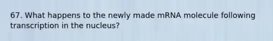 67. What happens to the newly made mRNA molecule following transcription in the nucleus?