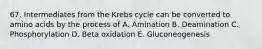 67. Intermediates from the Krebs cycle can be converted to amino acids by the process of A. Amination B. Deamination C. Phosphorylation D. Beta oxidation E. Gluconeogenesis