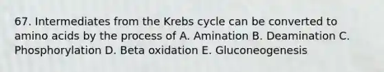 67. Intermediates from the Krebs cycle can be converted to amino acids by the process of A. Amination B. Deamination C. Phosphorylation D. Beta oxidation E. Gluconeogenesis