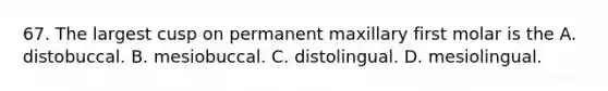 67. The largest cusp on permanent maxillary first molar is the A. distobuccal. B. mesiobuccal. C. distolingual. D. mesiolingual.