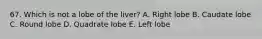 67. Which is not a lobe of the liver? A. Right lobe B. Caudate lobe C. Round lobe D. Quadrate lobe E. Left lobe