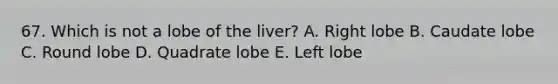 67. Which is not a lobe of the liver? A. Right lobe B. Caudate lobe C. Round lobe D. Quadrate lobe E. Left lobe