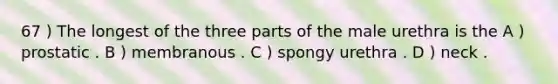 67 ) The longest of the three parts of the male urethra is the A ) prostatic . B ) membranous . C ) spongy urethra . D ) neck .