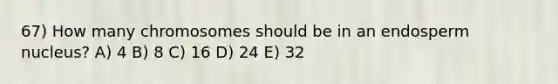 67) How many chromosomes should be in an endosperm nucleus? A) 4 B) 8 C) 16 D) 24 E) 32