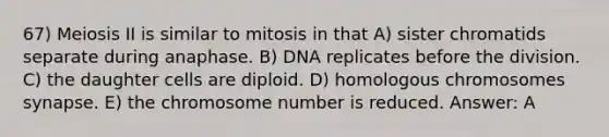 67) Meiosis II is similar to mitosis in that A) sister chromatids separate during anaphase. B) DNA replicates before the division. C) the daughter cells are diploid. D) homologous chromosomes synapse. E) the chromosome number is reduced. Answer: A