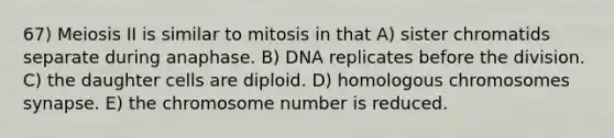 67) Meiosis II is similar to mitosis in that A) sister chromatids separate during anaphase. B) DNA replicates before the division. C) the daughter cells are diploid. D) homologous chromosomes synapse. E) the chromosome number is reduced.