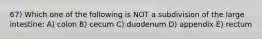 67) Which one of the following is NOT a subdivision of the large intestine: A) colon B) cecum C) duodenum D) appendix E) rectum