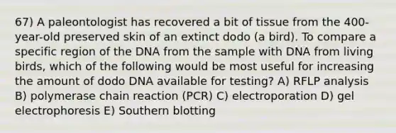 67) A paleontologist has recovered a bit of tissue from the 400-year-old preserved skin of an extinct dodo (a bird). To compare a specific region of the DNA from the sample with DNA from living birds, which of the following would be most useful for increasing the amount of dodo DNA available for testing? A) RFLP analysis B) polymerase chain reaction (PCR) C) electroporation D) gel electrophoresis E) Southern blotting