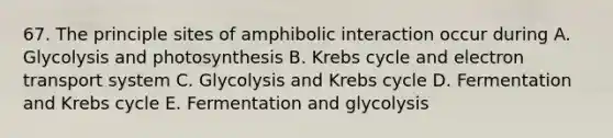 67. The principle sites of amphibolic interaction occur during A. Glycolysis and photosynthesis B. <a href='https://www.questionai.com/knowledge/kqfW58SNl2-krebs-cycle' class='anchor-knowledge'>krebs cycle</a> and <a href='https://www.questionai.com/knowledge/kbvjAonm6A-electron-transport-system' class='anchor-knowledge'>electron transport system</a> C. Glycolysis and Krebs cycle D. Fermentation and Krebs cycle E. Fermentation and glycolysis