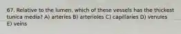 67. Relative to the lumen, which of these vessels has the thickest tunica media? A) arteries B) arterioles C) capillaries D) venules E) veins