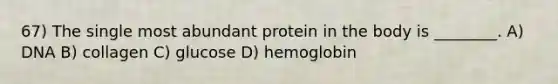 67) The single most abundant protein in the body is ________. A) DNA B) collagen C) glucose D) hemoglobin