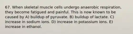 67. When skeletal muscle cells undergo an<a href='https://www.questionai.com/knowledge/kyxGdbadrV-aerobic-respiration' class='anchor-knowledge'>aerobic respiration</a>, they become fatigued and painful. This is now known to be caused by A) buildup of pyruvate. B) buildup of lactate. C) increase in sodium ions. D) increase in potassium ions. E) increase in ethanol.