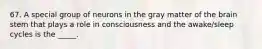 67. A special group of neurons in the gray matter of the brain stem that plays a role in consciousness and the awake/sleep cycles is the _____.