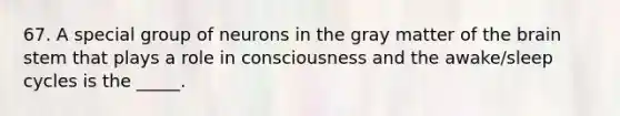 67. A special group of neurons in the gray matter of <a href='https://www.questionai.com/knowledge/kLMtJeqKp6-the-brain' class='anchor-knowledge'>the brain</a> stem that plays a role in consciousness and the awake/sleep cycles is the _____.