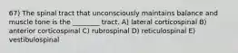 67) The spinal tract that unconsciously maintains balance and muscle tone is the ________ tract. A) lateral corticospinal B) anterior corticospinal C) rubrospinal D) reticulospinal E) vestibulospinal