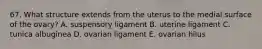 67. What structure extends from the uterus to the medial surface of the ovary? A. suspensory ligament B. uterine ligament C. tunica albuginea D. ovarian ligament E. ovarian hilus