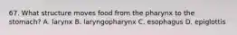 67. What structure moves food from the pharynx to the stomach? A. larynx B. laryngopharynx C. esophagus D. epiglottis