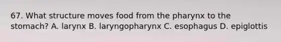 67. What structure moves food from the pharynx to the stomach? A. larynx B. laryngopharynx C. esophagus D. epiglottis