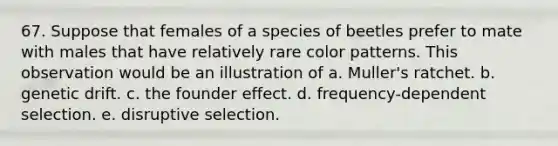 67. Suppose that females of a species of beetles prefer to mate with males that have relatively rare color patterns. This observation would be an illustration of a. Muller's ratchet. b. genetic drift. c. the founder effect. d. frequency-dependent selection. e. disruptive selection.