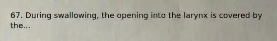 67. During swallowing, the opening into the larynx is covered by the...