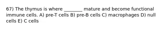 67) The thymus is where ________ mature and become functional immune cells. A) pre-T cells B) pre-B cells C) macrophages D) null cells E) C cells