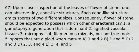 67) Upon closer inspection of the leaves of flower of stone, one can observe tiny, cone-like structures. Each cone-like structure emits spores of two different sizes. Consequently, flower of stone should be expected to possess which other characteristics? 1. a gametophyte generation that is dominant 2. lignified vascular tissues 3. microphylls 4. filamentous rhizoids, but not true roots 5. spores that are diploid when mature A) 1 and 2 B) 1 and 5 C) 2 and 3 D) 2, 3, and 4 E) 3, 4, and 5